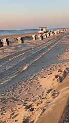 Sylt (107)